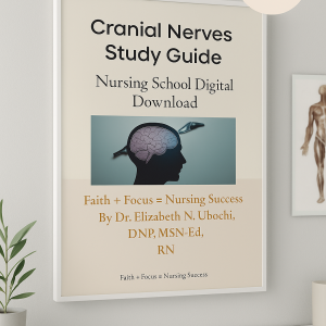 Cranial Nerves Study Guide — Digital Download